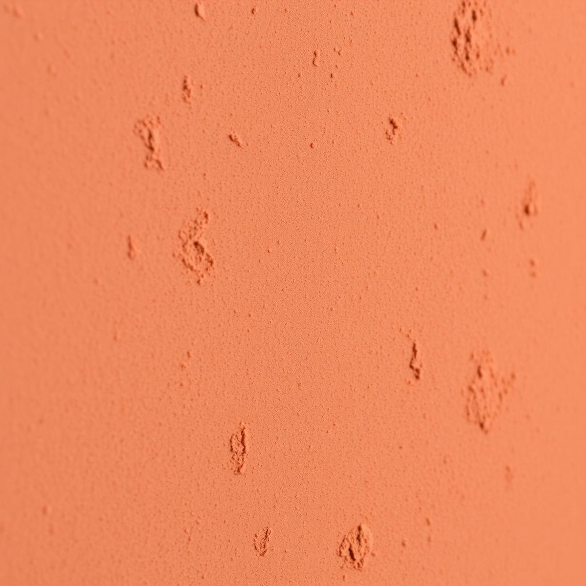 Macro-opname van Leemstuc