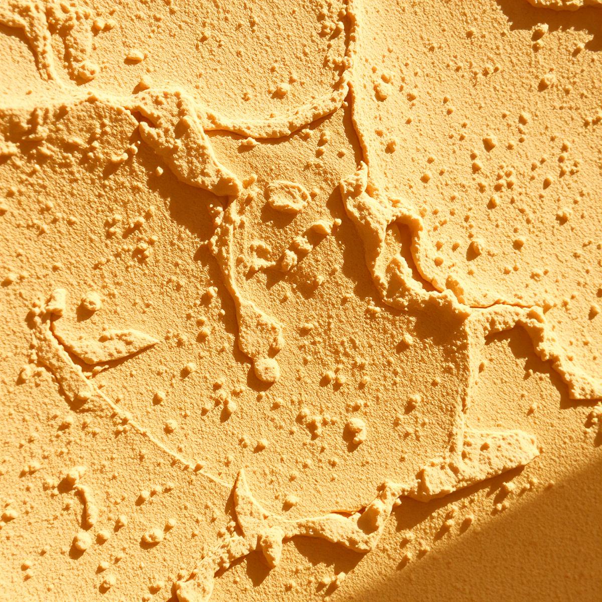 Macro-opname van Sierpleister